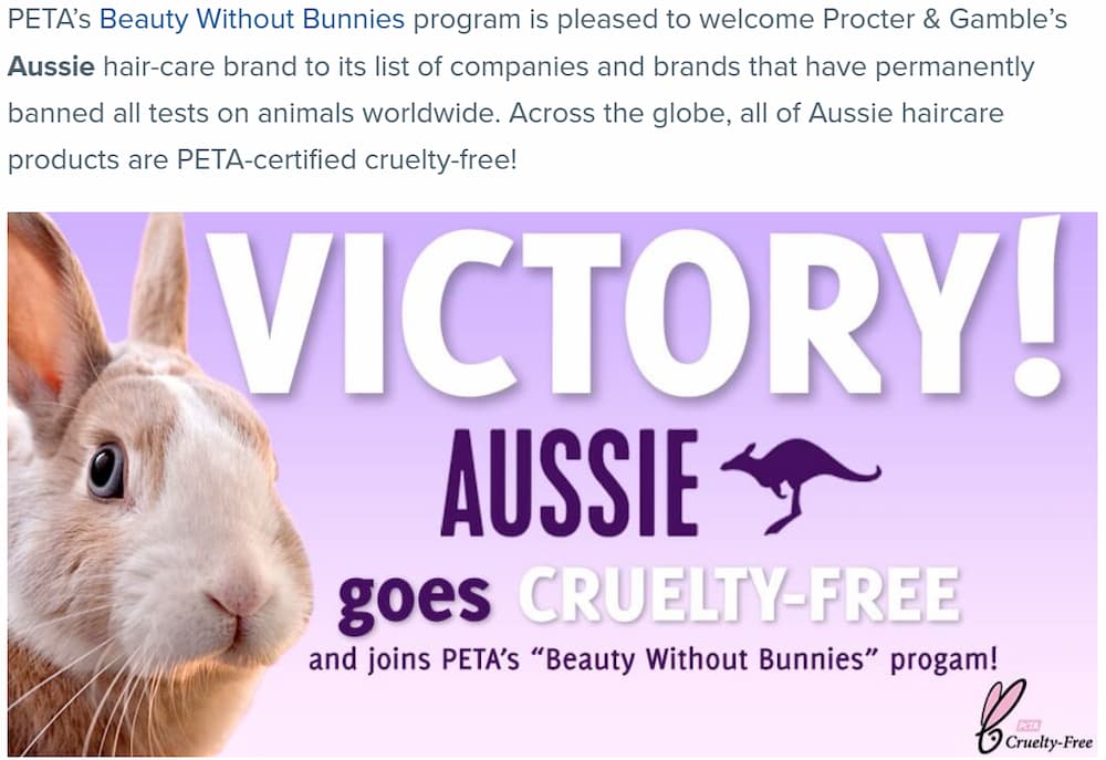 Is Aussie CrueltyFree? Here's What You Need to Know HiStylePicks